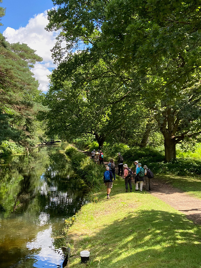 LP0700_18_Basingstoke_Canal1