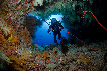 Diver_in_arch_L2161_11_Felidhoo
