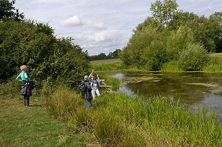 Langham_Pond_LP0218_49_Runnymede